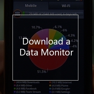 Download a data monitor to check your data roaming usage