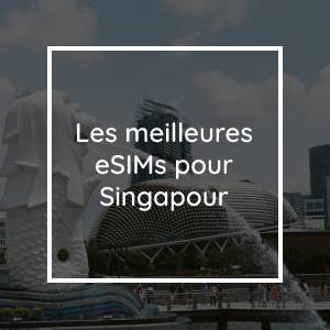 Les 5 meilleures eSIM pour Singapour en 2023