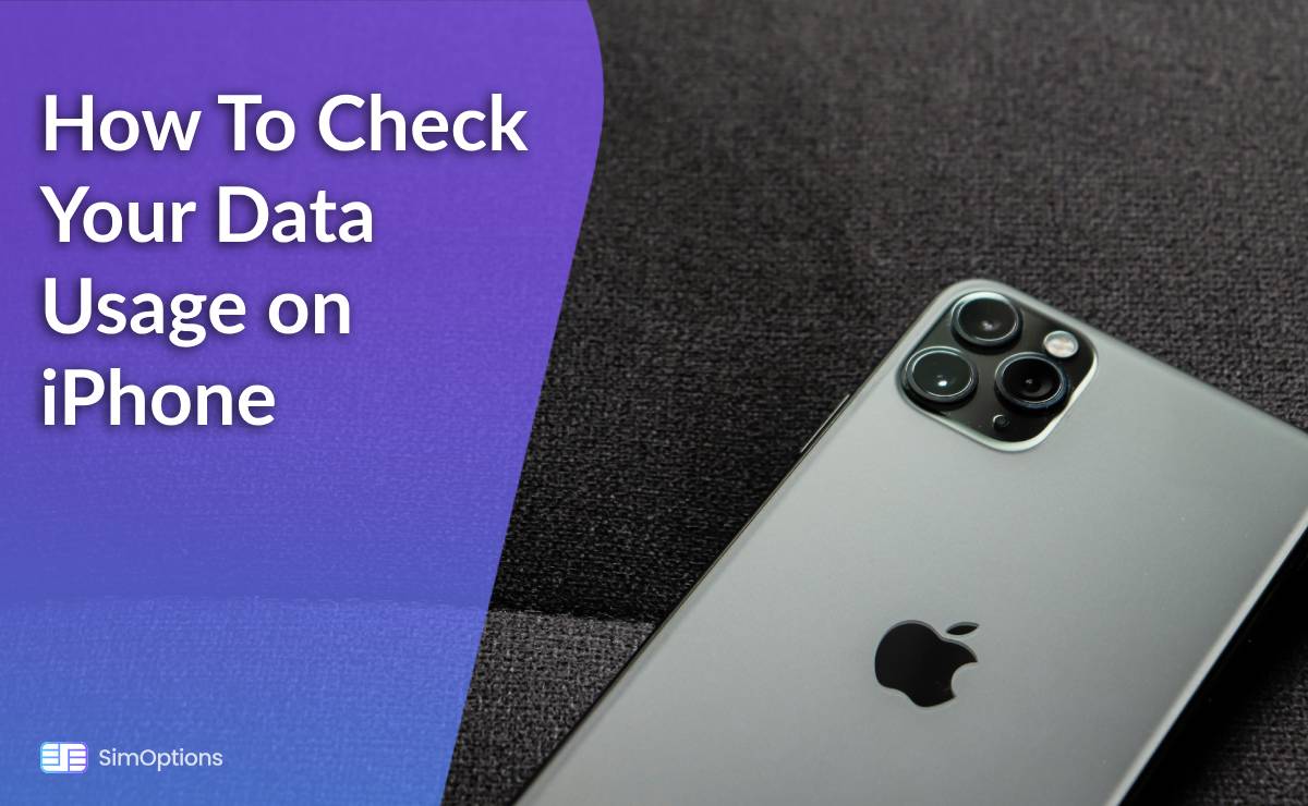 How To Check Your Data Usage on iPhone