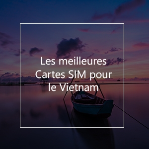 Les Meilleures cartes SIM pour le Vietnam en 2023