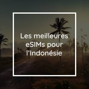 Les 5 meilleures eSIMs pour l'Indonésie en 2023