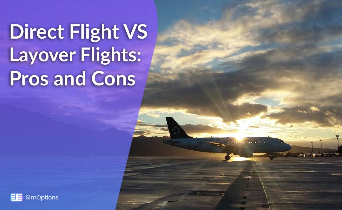 Direct Flight vs Layover Flight | Pro's & Con's