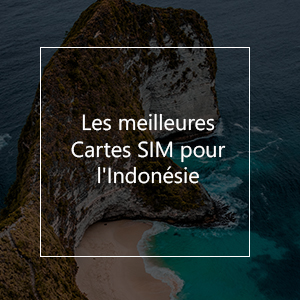 Les 8 meilleures cartes SIM prépayées pour l'Indonésie en 2023