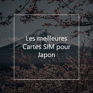 Les 9 meilleures cartes SIM prépayées pour le Japon en 2022