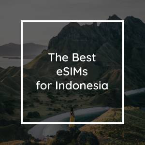 The 5 Best eSIMs for Indonesia in 2023