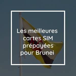 Les meilleures cartes SIM prépayées pour Brunei en 2023